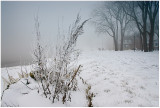 Winterscape.