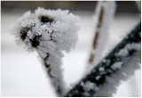 More hoar frost.