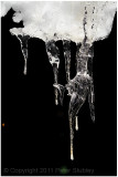 The icicle again.