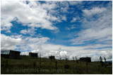 Hilltop, condor sanctuary, near Quito, Ecuador.