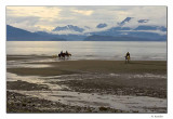 Homer, AK
