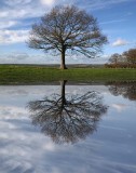 Calm waters after the storm...