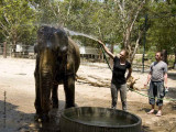 734_s_9219_elephant shower-Marc.jpg