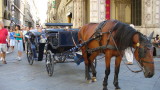 A carriage driver and his horse take a mid-day siesta.