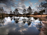 PC296747 - Dramatic Tone.jpg