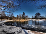 P2047283 - Winter Day.jpg
