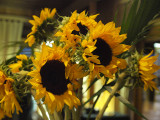 Sunflowers.jpg