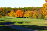 _Michigan Fall Color 2012