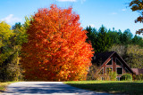 Michigan Fall Color 2012
