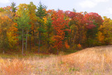 Michigan Fall Color 2012