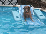2006_0706TrickeyCamp0028.JPG