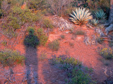 My shadow at sunset, Jordan Trail