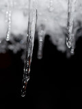 2010-12-06 Ice