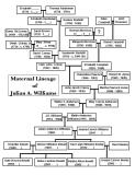 Updated (2005) Julian Williams Maternal Lineage