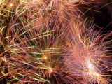 43Butchart Gardens-Fireworks-DSCN1243 (8).jpg