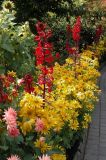 44-Butchart Gardens-Flowers-DSCN0059-2 (37).JPG