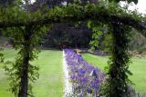 Garden-Butchart Gardens-DSCN0062.JPG