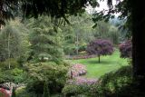 Garden-Butchart Gardens-DSCN0067.JPG