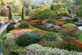 Garden-Butchart Gardens-DSCN0127.JPG