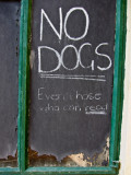 NO DOGS!