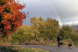 Two dogs and a rainbow ***NEW***