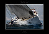 For the Sailing Lovers . Tre Golfi Regatta. Capri May 2006.