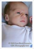 Xavier - November 20, 2005