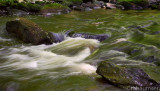 Rapids Along Little Bushkill Creek