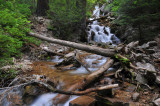 Creek along the trail 1
