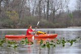 Paddling through the lillypads