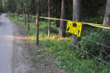 Lake Louise tent campground is completely surround by electric fence to keep bears out