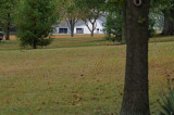 Neighbors barn at 150mm