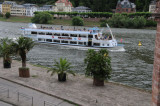 Tour Boats on the Neckar River