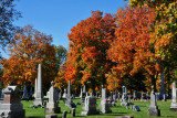 Amazing Fall Colors