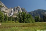 Yosemite Falls and the Meadow