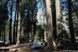 Lower Pines campsite