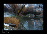 Morning Walk in Central Park_D2B3955.jpg