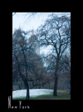 Morning Walk in Central Park_D2B3961.jpg