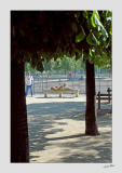 Relaxing in les Jardins des Tuileries - 2816