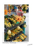 _D2B0848 - Oranges and Lemons - giant Lemons.jpg