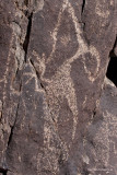 Three Rivers Petroglyph _MG_3504 copy.jpg