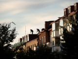 roofpainters