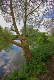 Beverley Beck005.JPG