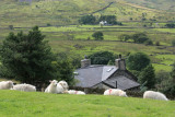 Snowdon 015.JPG