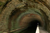IMG_6447_1.jpg