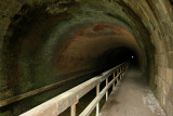 IMG_6449_1.jpg