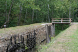IMG_6517_1.jpg