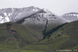 June Snow