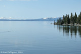 Lake Yellowstone