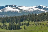Lamar River Valley